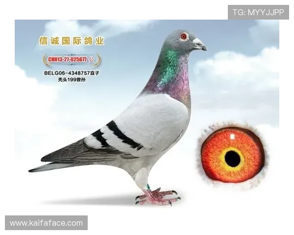 AG国际官方旗舰店客户评价优良，众多客户的信赖与推荐成为品牌保障