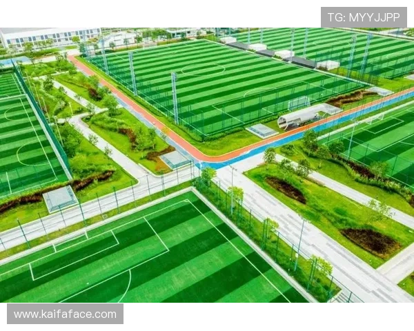 凯发体育平台首页官网最新版本全面介绍与使用指南