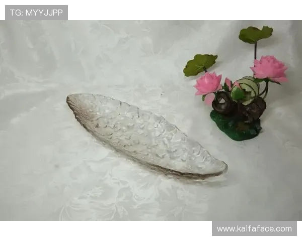 凯发体育在线登录官网网址官方入口导航，轻松找到安全登录的最佳途径